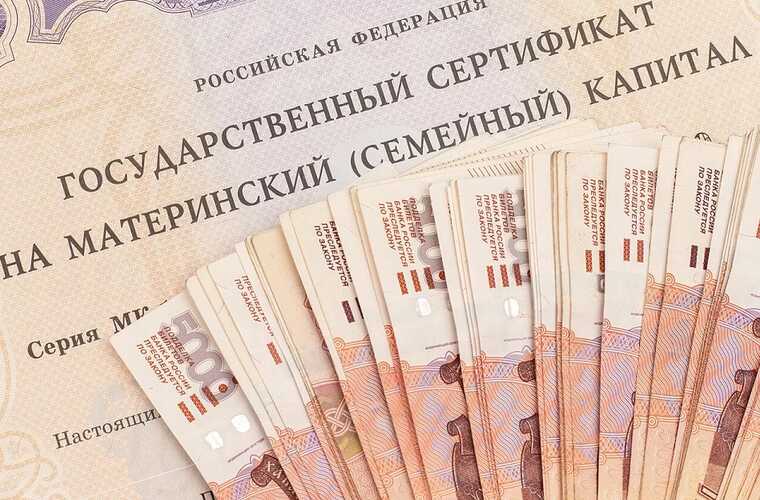 В России раскрыто более 700 случаев мошенничества с материнским капиталом и социальными выплатами