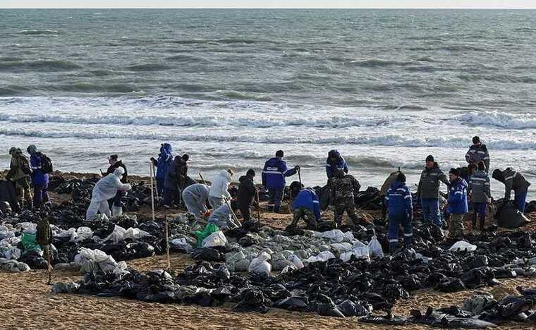 Волонтеров на Черном море обязали регистрироваться и делать прививки