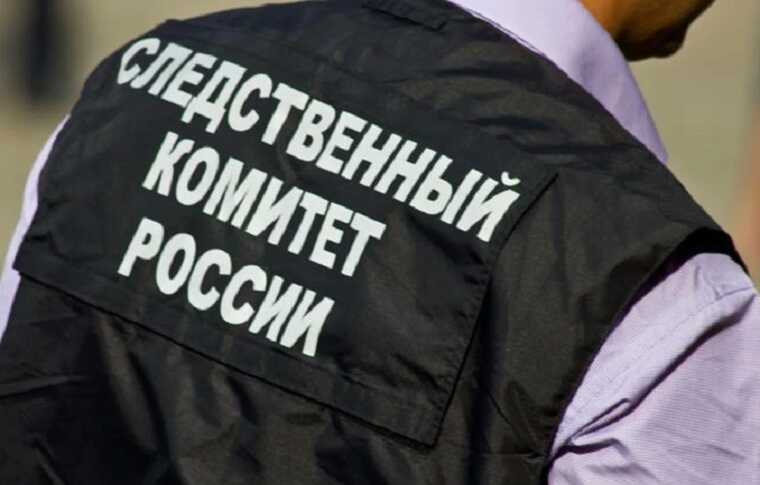 Следственный комитет Ленобласти начал расследование по факту угроз журналистке