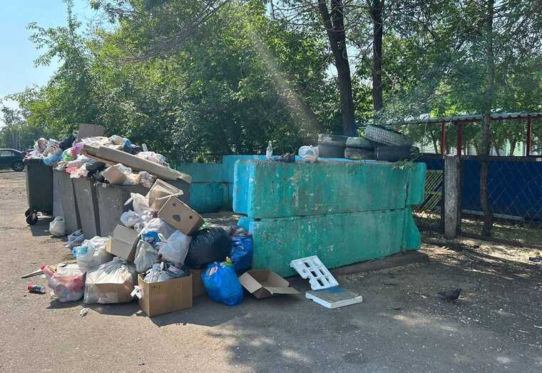 Крысы захватывают Красноярск: город превращается в помойку с живыми хищниками