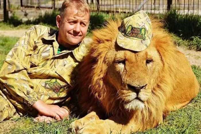 Директор парка «Тайган» Олег Зубков пострадал от нападения льва