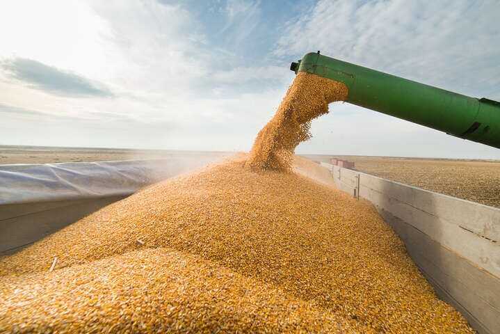 A Danish partner company is helping Russia export grain from Ukrainian regions annexed by the Russian Federation