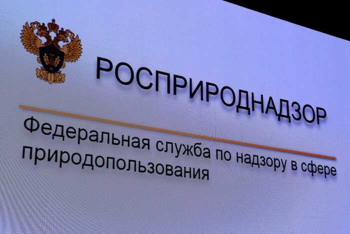 Росприроднадзор выявил три нелегальных свалки на берегу Оби в Салехарде