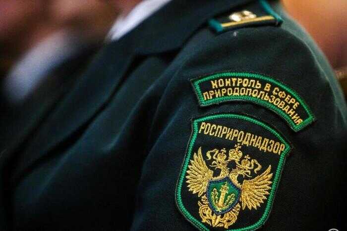 Росприроднадзор Светланы Радионовой покрывает экологические преступления «Роснефти»