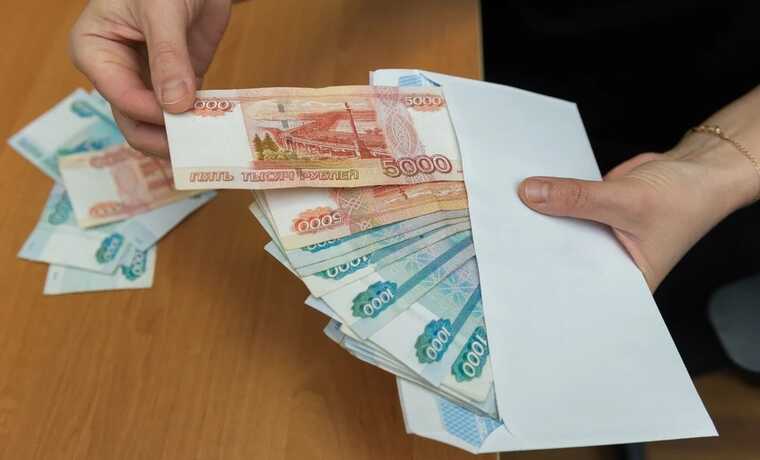 Мошенница с мазутом: как инфоцыганка из Анапы Елена Холмирзаева превратила помощь птицам в личный бизнес